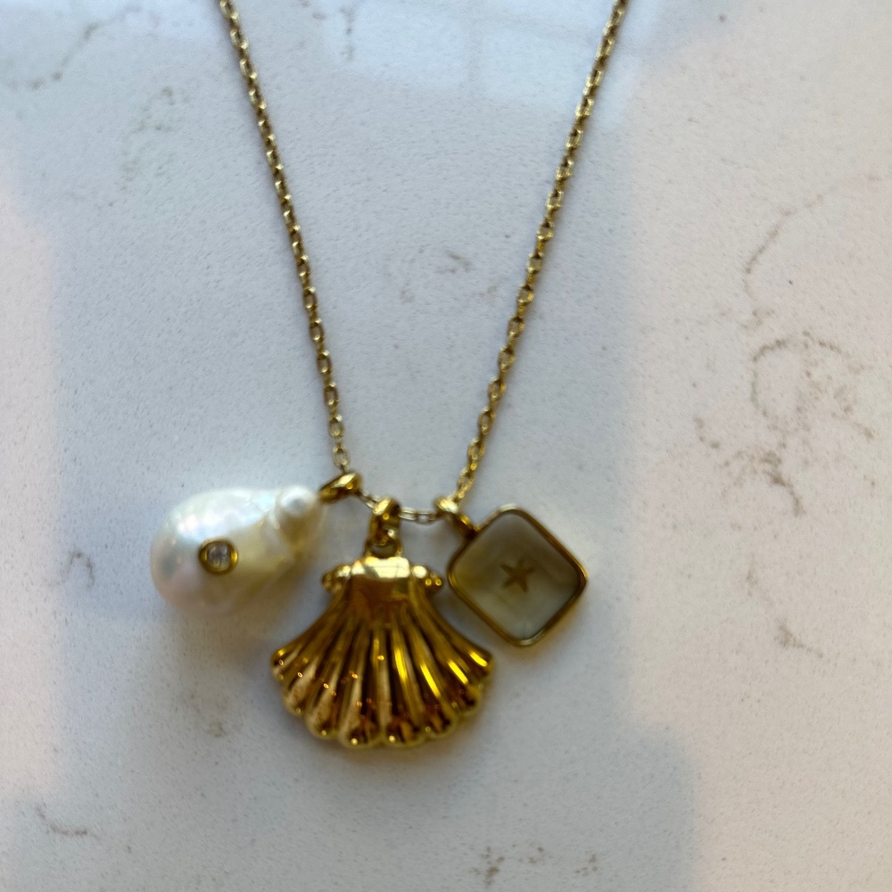 Tuckernuck Gold Charm Necklace